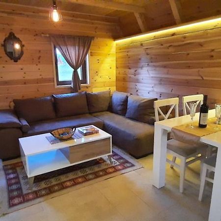 Mountain house Bjanka Villa Žabljak Buitenkant foto