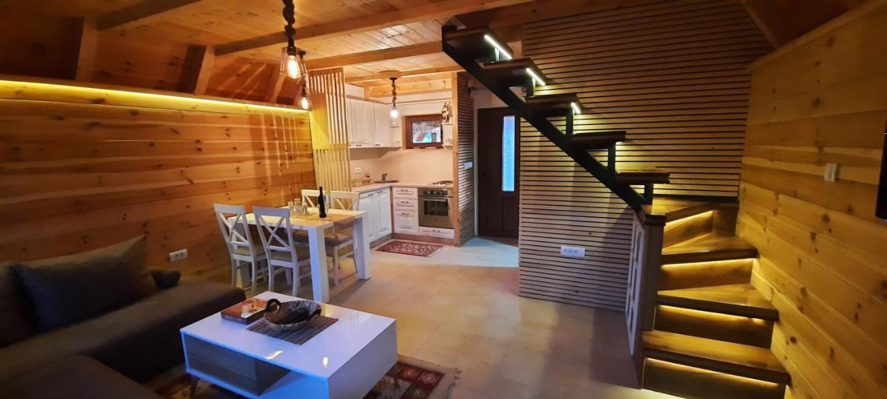 Mountain house Bjanka Villa Žabljak Buitenkant foto